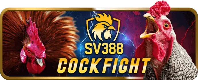 Hoàn trả hàng ngày cho Slot Games tại VN188